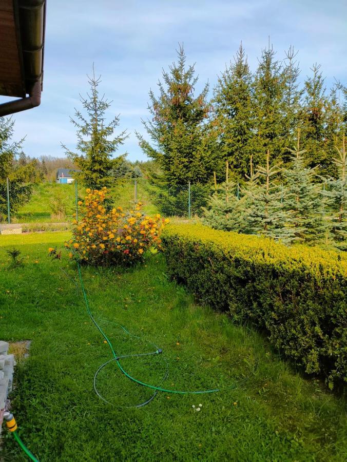 Cichy Zakatek Klodzko Lägenhet Exteriör bild